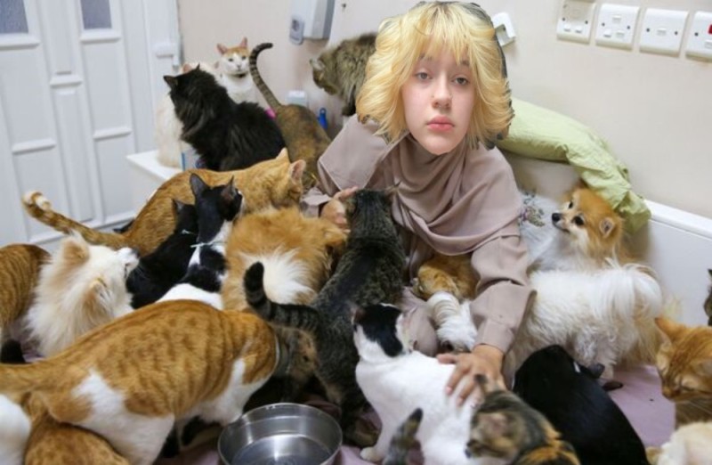 Create meme: cat lady , Maryam al Balushi, animals 