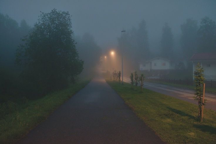 Create meme: night landscape, village landscape, fog nature