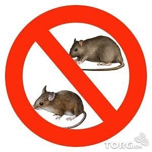 Create meme: rodents, extermination of mice, Rats don't belong here