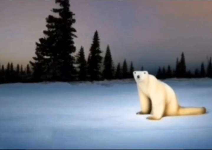 Создать мем: день белого медведя, природа арктики, полярный медведь