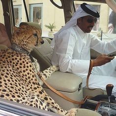 Создать мем: араб с леопардом в машине, богатые шейхи дубая, дубай