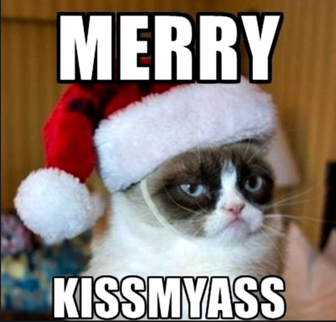 Create meme: New Year's memes are cute, grumpy cat, grumpy cat meme 