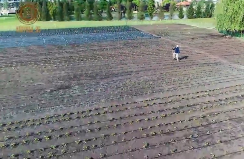 Create meme: Kadyrov's vegetable garden, JSC agrariy Alexandro-Nevsky district, in agriculture