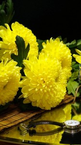 Create meme: chrysanthemum flowers