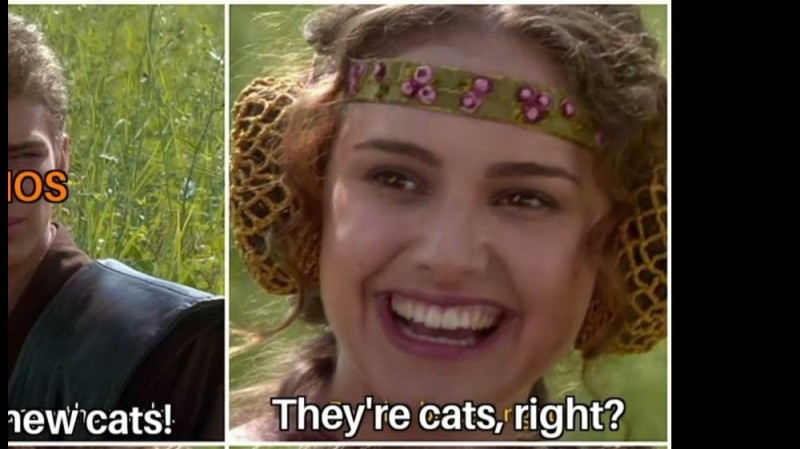 Create meme: Star wars Anakin and Padme, Anakin and Padme on a picnic, Anakin and Princess Padme Meme