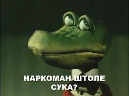 Create meme: you're a drug addict galleries, addict, crocodile Gena