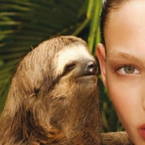 Create meme: sloth whispers, girl, meme sloth