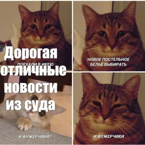 Создать мем: мем кошка, кошачьи мемы с текстом, котейка
