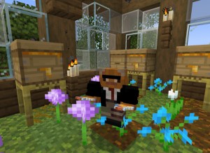 Create meme: the new version of minecraft, minecraft