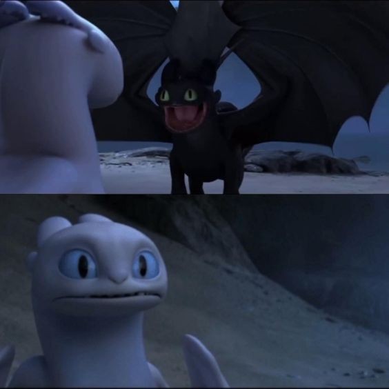 Create meme: day fury, toothless and day, tame the dragon toothless