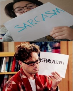 Создать мем: леонард сарказм, sarcasm, леонард хофстедтер сарказм