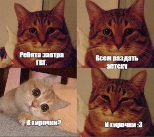 Создать мем: кот кот, котики, мемы
