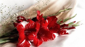 Create meme: gladiolus flower, gladioli bouquet, gladioli and gypsophila bouquet