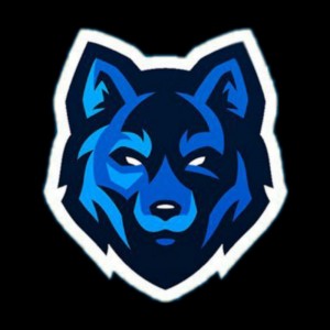 Create meme: wolf esport logo