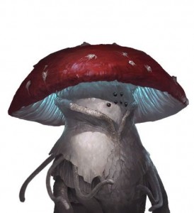 Create meme: mushrooms illustration, mushroom boletus, mushrooms