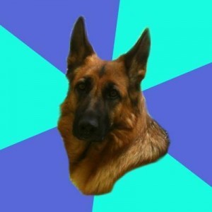 Create meme: dog, German shepherd, German shepherd