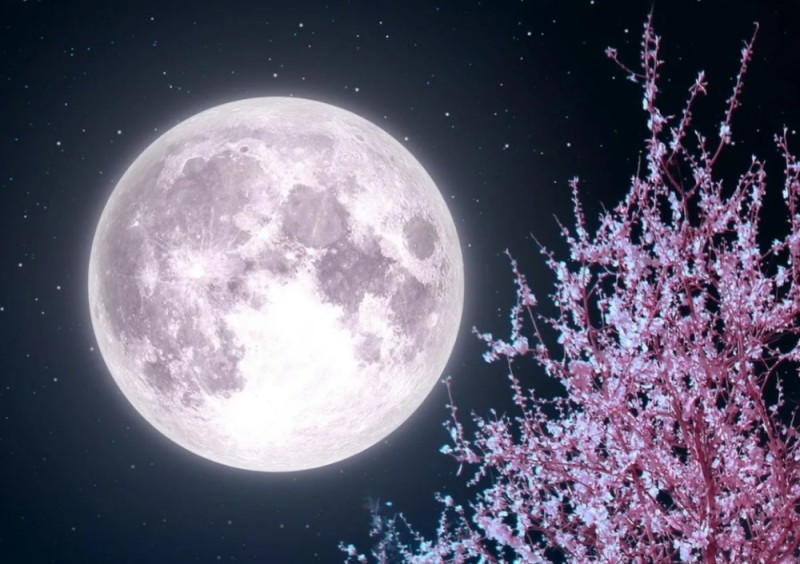 Create meme: the moon , beautiful moon , pink moon