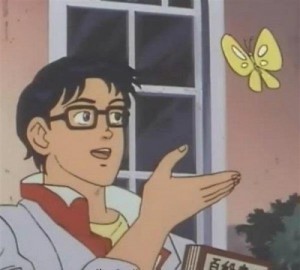 Create meme: meme with butterfly anime, is this a pigeon