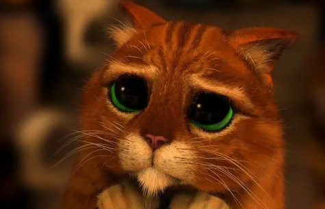 Create meme: the cat from Shrek , shrek's cat look, cat Shrek 