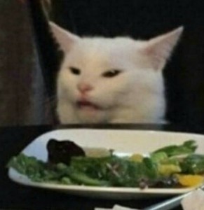 Create meme: cat, the meme with the cat at the table, cat meme