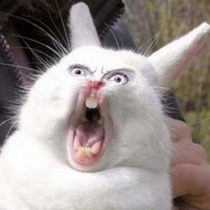 Создать мем: орущий кролик мем, заяц зевает, кричащий кролик