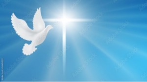 Create meme: dove, the Holy spirit