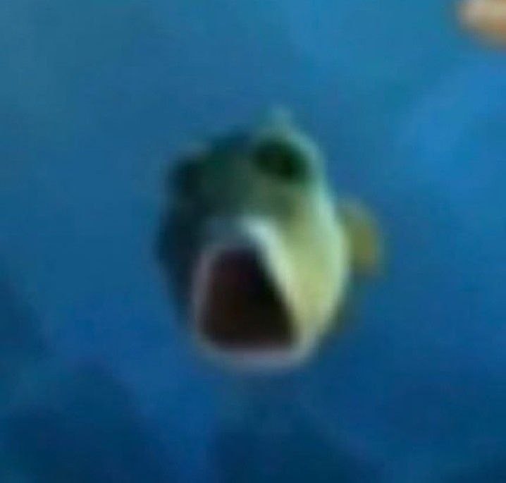 Создать мем: рыба фугу желтая, мем рыба, мем рыба фугу