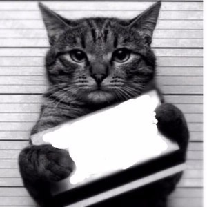 Создать мем: кот с табличкой срал в тапки, картинка кот с табличкой картинка, кот преступник фото