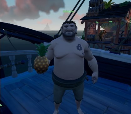 Create meme: screenshot , sea of thieves, sea of thieves game