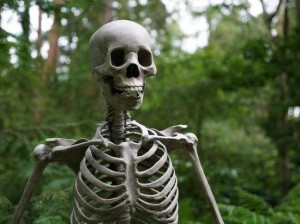 Создать мем: скелет в реальной жизни, кости скелет, рассел скелет