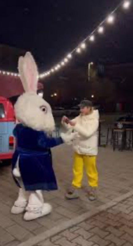 Create meme: rabbit , white rabbit, Bunny bunny bunny costume