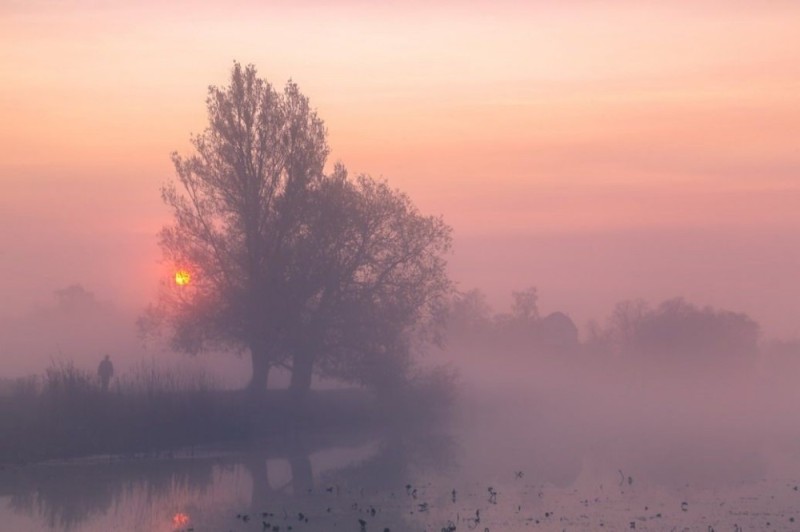 Create meme: misty dawn, morning fog , nature landscape
