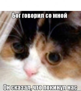 Создать мем: кот кот, кошка, удивленный котик