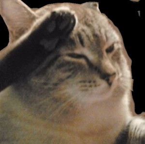 Create meme: cat, cat salutes, cat salutes