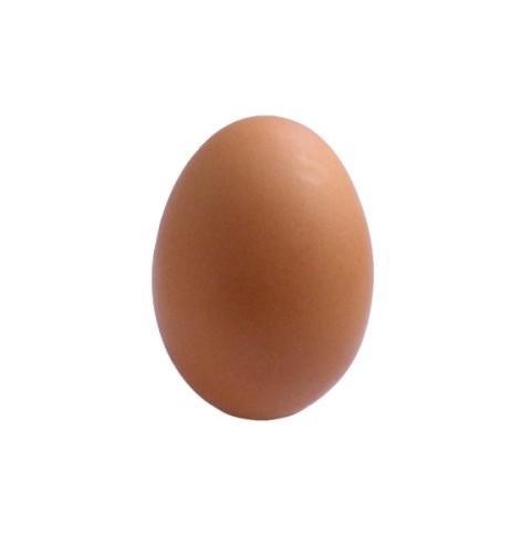 Создать мем: яйцо биг нега, коричневое яйцо, обычное яйцо