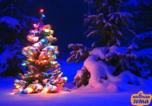 Создать мем: нарядная елка, зимняя елка, красивая новогодняя елка