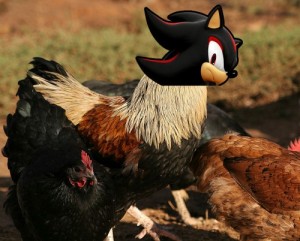 Create meme: poultry meat, bird flu, wild birds