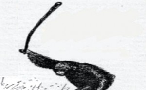 Создать мем: бунт мем обезьяна, изображние животного