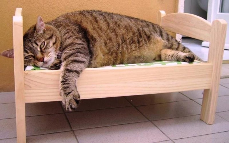 Создать мем: деревянная кроватка для кота, кровать для кота, деревянная кровать для кошки