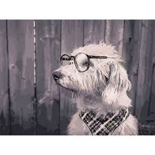 Создать мем: животное в очках, собака nerd, постер собака в очках