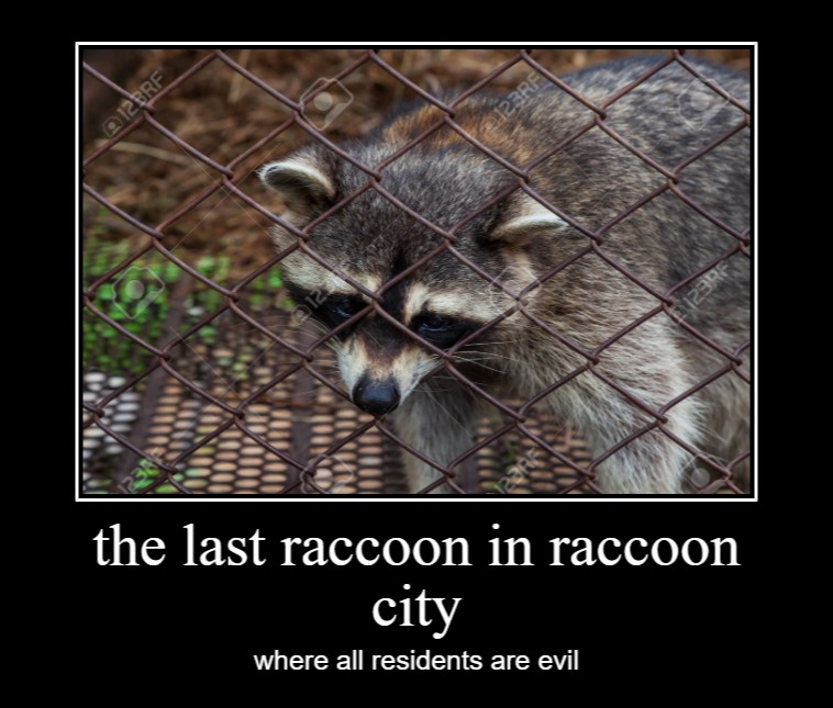 Создать мем: sad raccoon, енот в клетке, вонючий енот