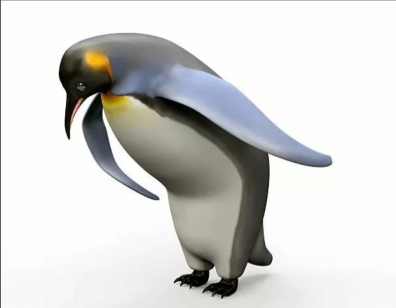 Create meme: penguin bird, Emperor penguin , the penguin bows meme