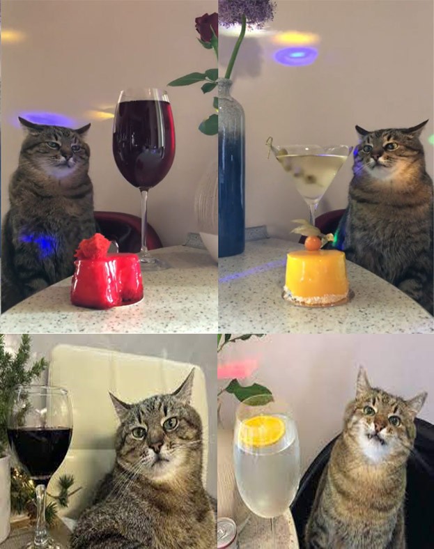 Создать мем: кот, кот с бокалом мем, кот с вином