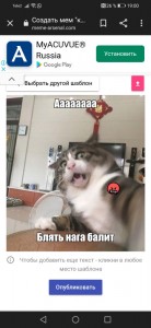 Создать мем: драматичный кот, кот бомбит, эмоциональный кот из китая