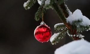 Create meme: winter new year, Christmas tree, Christmas