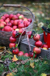 Создать мем: август природа урожай фотосессия, природа яблоки с корзиной, урожай яблок
