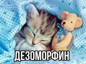 Создать мем: спокойной ночи котик, спящий котенок, сладких снов котёнок