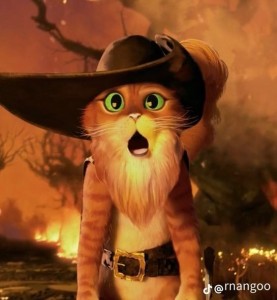 Создать мем: кот в сапогах из шрека, кот в сапогах 2011, кот в сапогах кот оууу