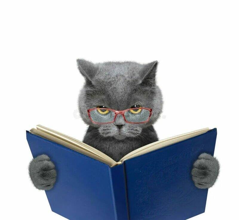Create meme: illustration, the book cat, the cat is reading a book