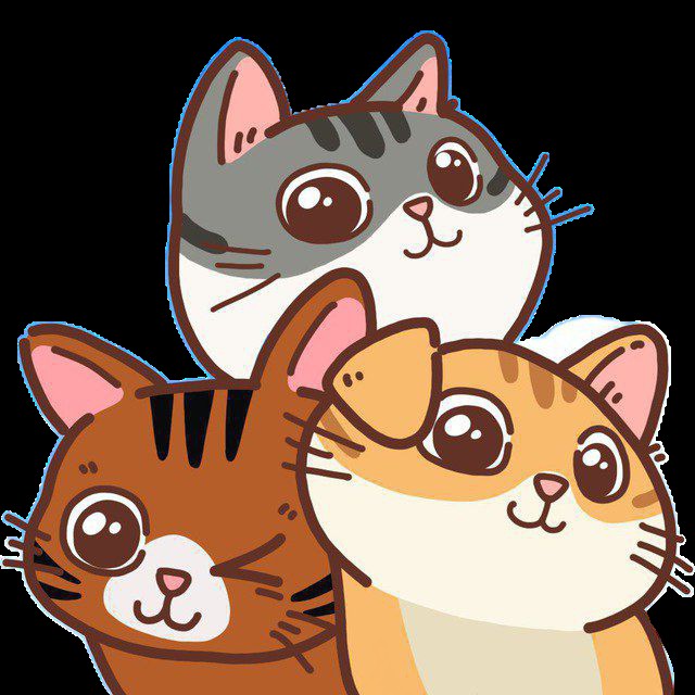 Create meme: seals stickers, cat , cartoon cats